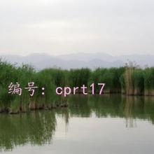 Ȼ