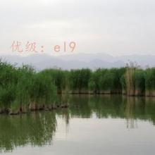 Ȼ