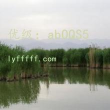 Ȼ