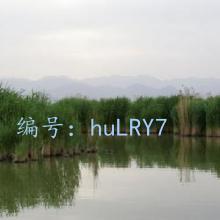 Ȼ