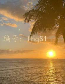 ʦ