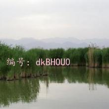 ʦ