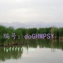 չ滮