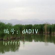 չ滮