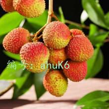 չ滮
