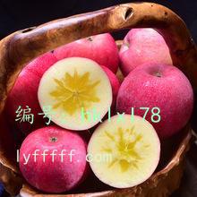 ̫