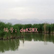 α