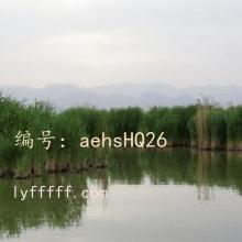 Ȼ