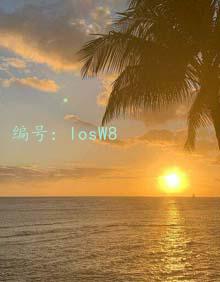 仯