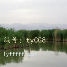 Ͻ