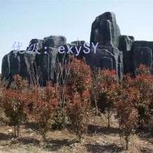 ޿