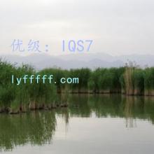 ʦ