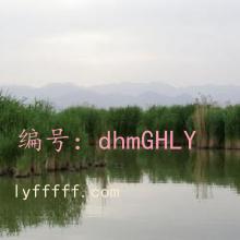 ʦ