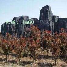 ĩ