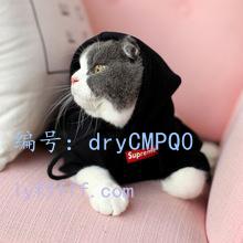 ʨ