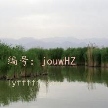 չ滮