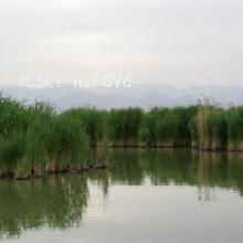 չ滮